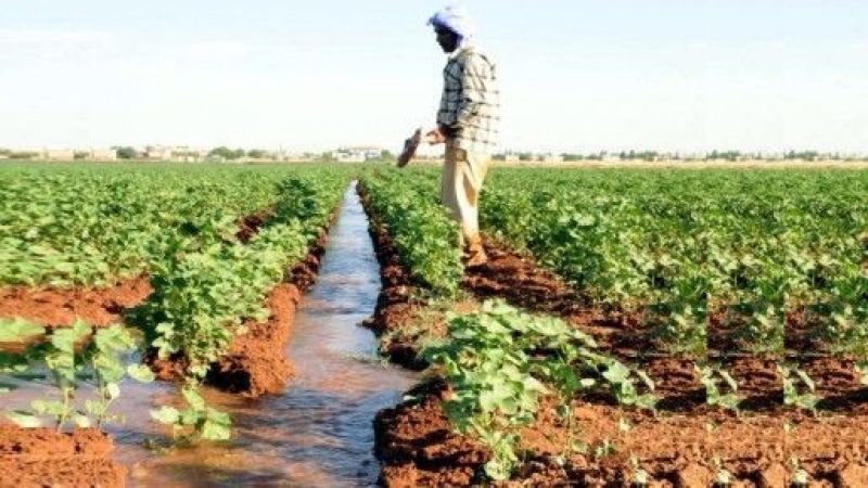 Su verimliliği seferberliği başlatıyor!