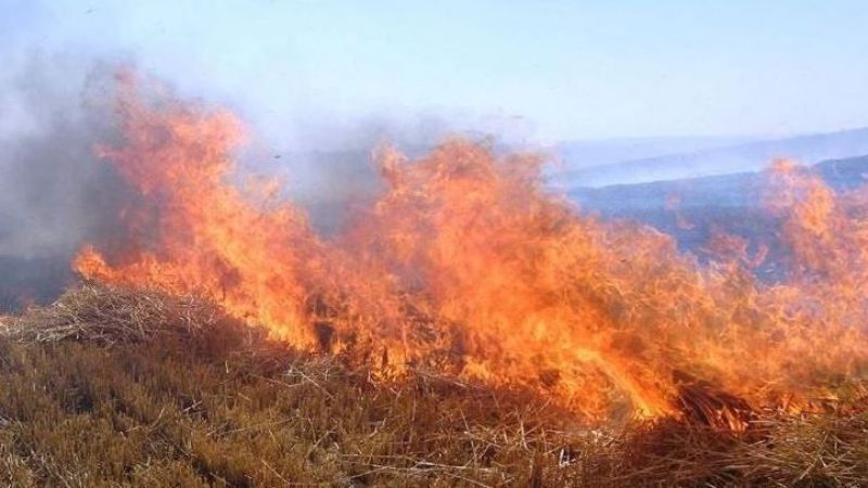 Buğday ekili tarla alevlere teslim oldu! 2 Yaralı