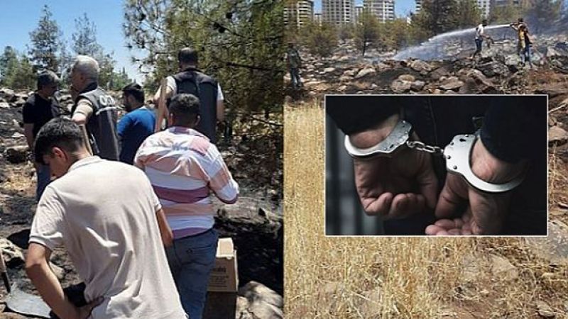 Urfa’daki ormanı yakan kişi tutuklandı