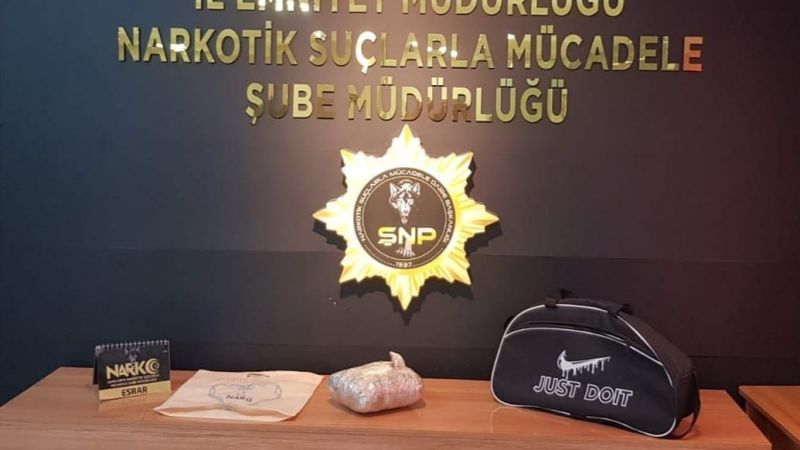 Yolcunun valizinden çıktı!