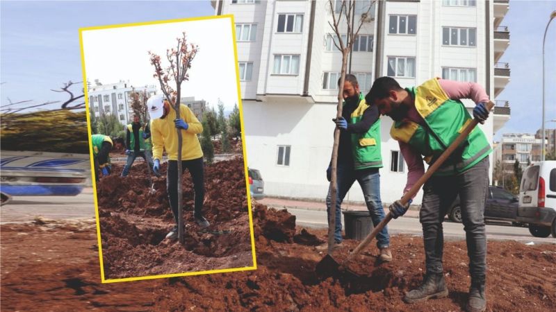 Karaköprü'de hedef: 100 bin m2
