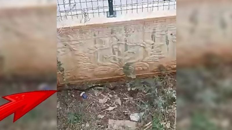 Urfa'da yılanlar ortaya çıktı