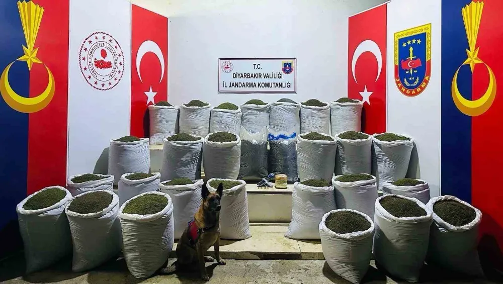 611 kilo esrar bulundu: 3 gözaltı