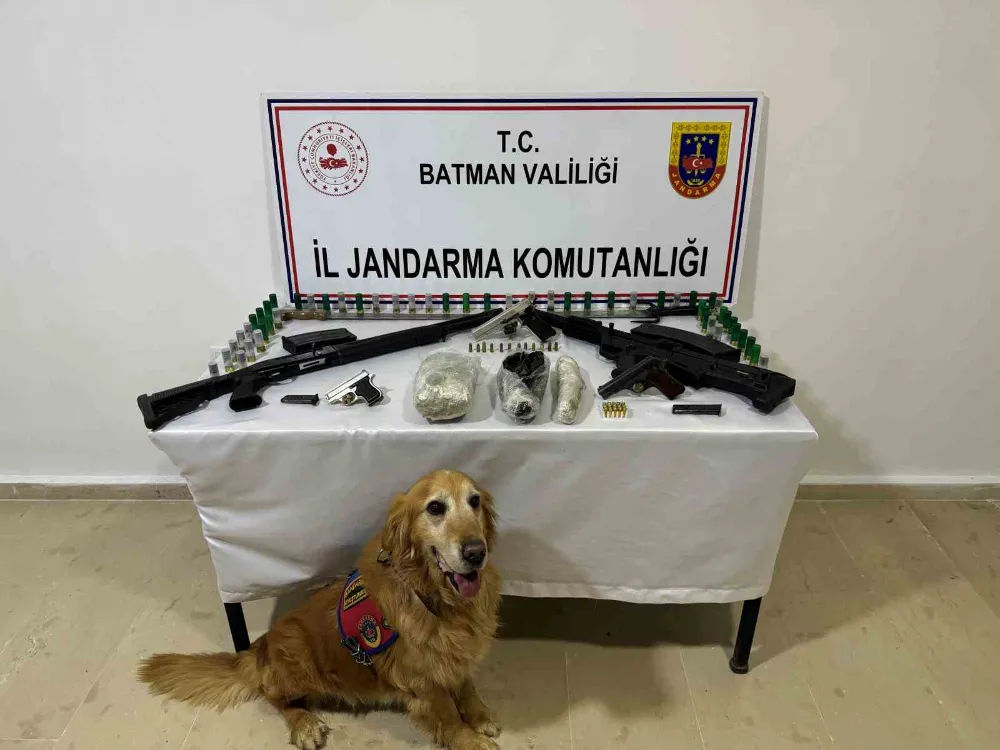Jandarma silah kaçakçılarına göz açtırmıyor: 2 tutuklama