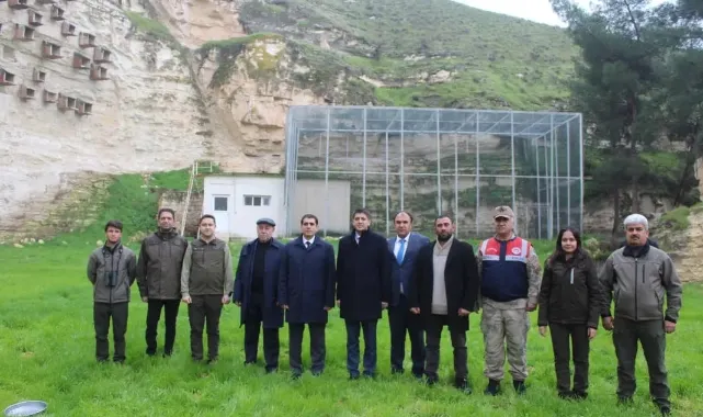 Kelaynaklar yavrulama için doğaya salındı