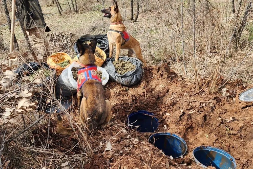 Jelikan bidon içerisine saklanmış 43 kilo esrar ele geçirildi