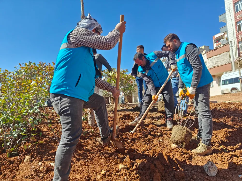Her gün biraz daha yeşil Eyyübiye