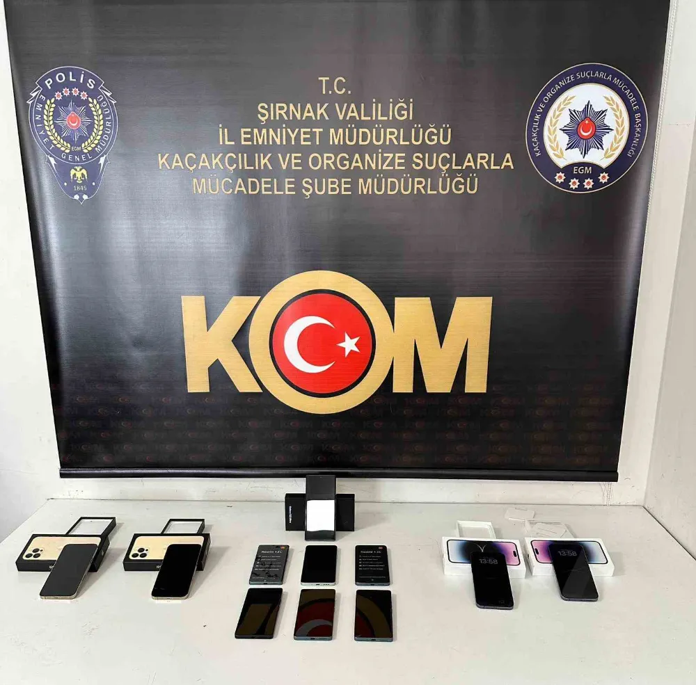 Asayiş ve kaçakçılık operasyonu: 49 gözaltı