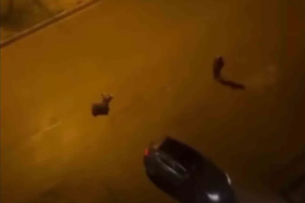 Batman’da cinayet: 2 ölü