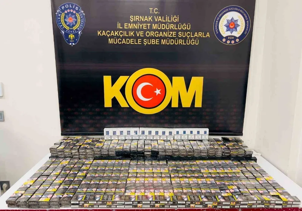 Asayiş ve kaçakçılık operasyonu: 31 gözaltı