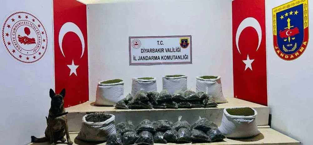 226 kilo esrar ele geçirildi