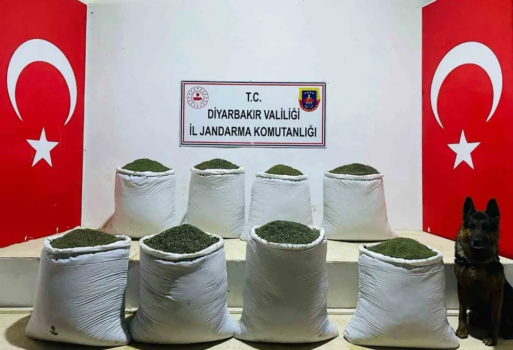169 kilo esrar ele geçirildi