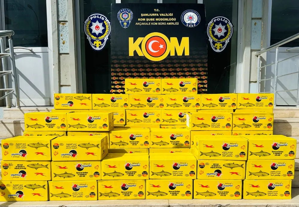 Akçakale'de kaçak balık konservesi operasyonu