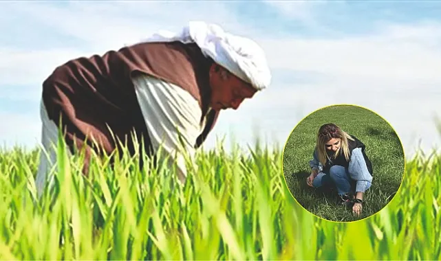 Biz o desteği ne yapalım şimdi?