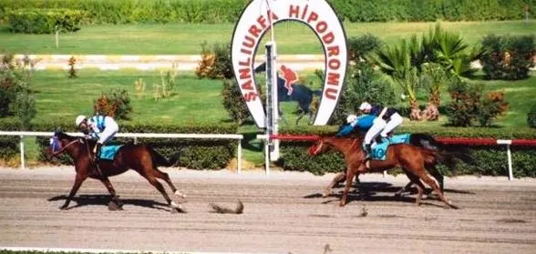 Urfa’da bir kişi canına kıydı