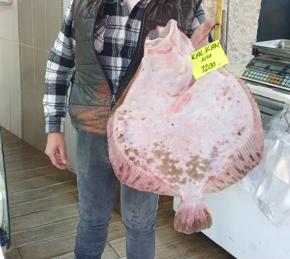 Kilosu bin 200 liradan tezgaha indi, ilgi odağı oldu