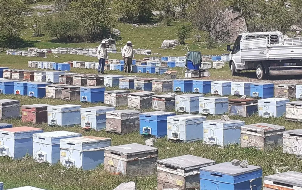 Bal üretim sezonu başladı