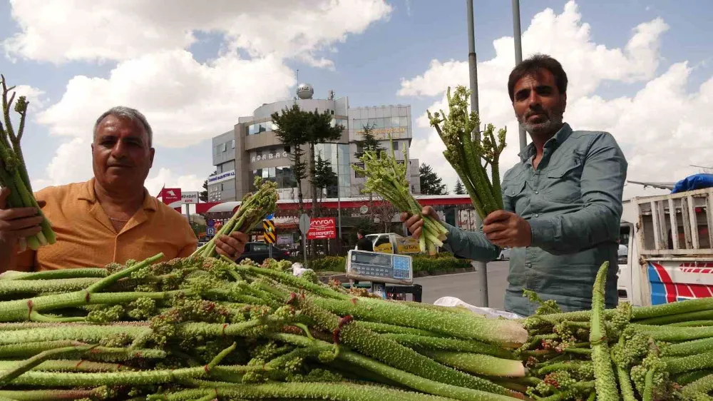 ‘Yayla muzu’ uçkunun fiyatı, ‘Anamur muzunu’ üçe katladı
