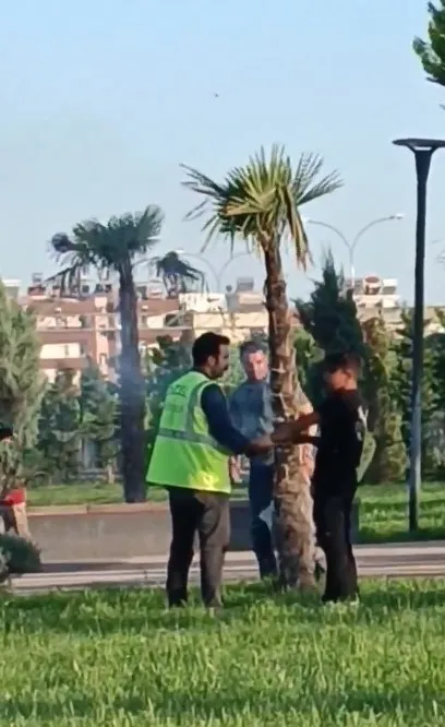 Millet bahçesinde ki ağacı yakmaya çalıştı!