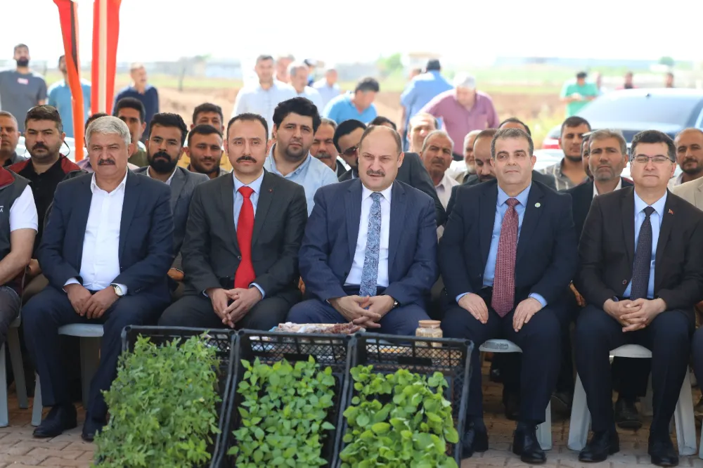 GÜLPINAR, ‘’ŞANLIURFA TARIM ALANINDA ÖNEMLİ BİR POTANSİYELE SAHİP''