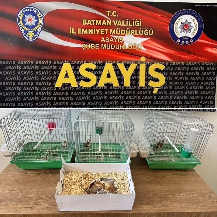 Satışı yasak hayvanları pazarlayan şahsa 19 bin 200 lira ceza
