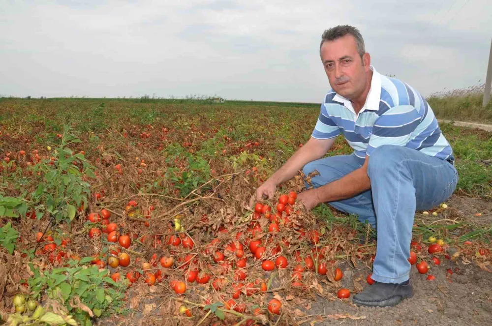 “Salça ihracatının önü açılmalı”