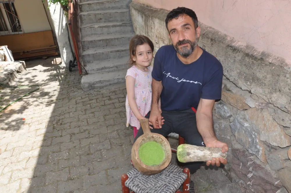 ’Zuzubak’ Otunun fiyatını duyan dönüp bir daha bakıyor: Kilosu 5 bin liradan alıcı buluyor