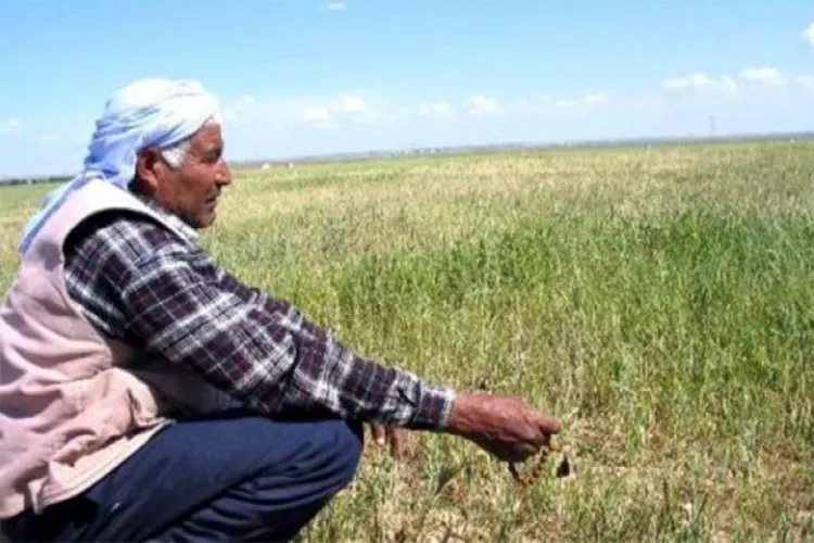 DEDAŞ algı demişti: Çiftçiler ise adeta isyanda!