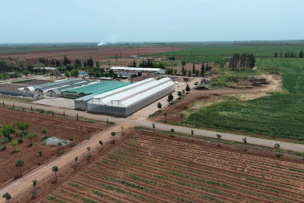 BÜYÜKŞEHİR SERALARINDA ÜRETİLEN ÇİÇEKLER CADDE VE SOKAKLARI SÜSLÜYOR