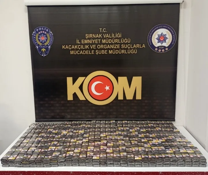 Asayiş ve terör operasyonu: 46 gözaltı