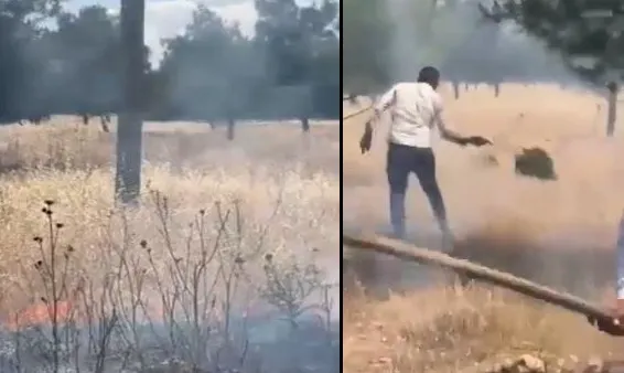 Akçakale'de ormanlık alanda yangın