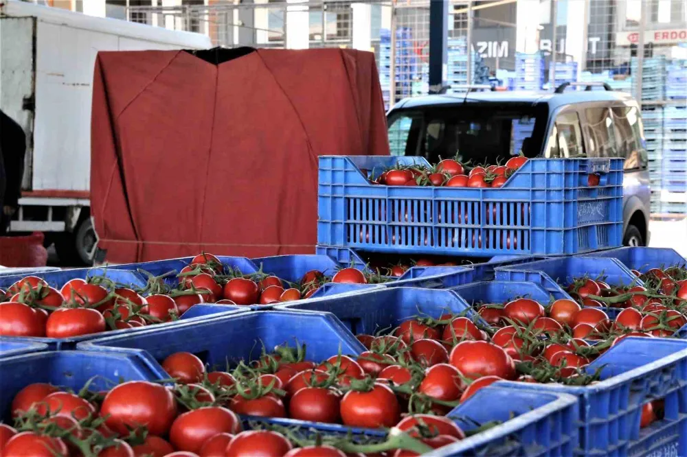 Domates miktarı yıllık endekste yüzde 4,32 arttı
