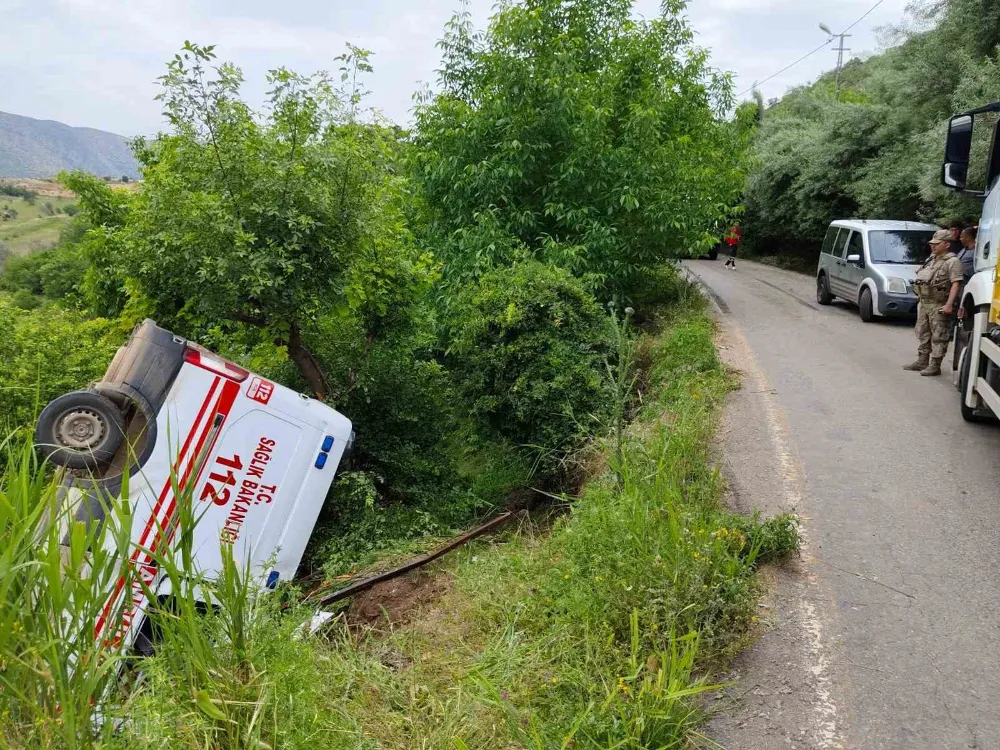 Akrep sokması vakasına giden ambulans kaza yaptı