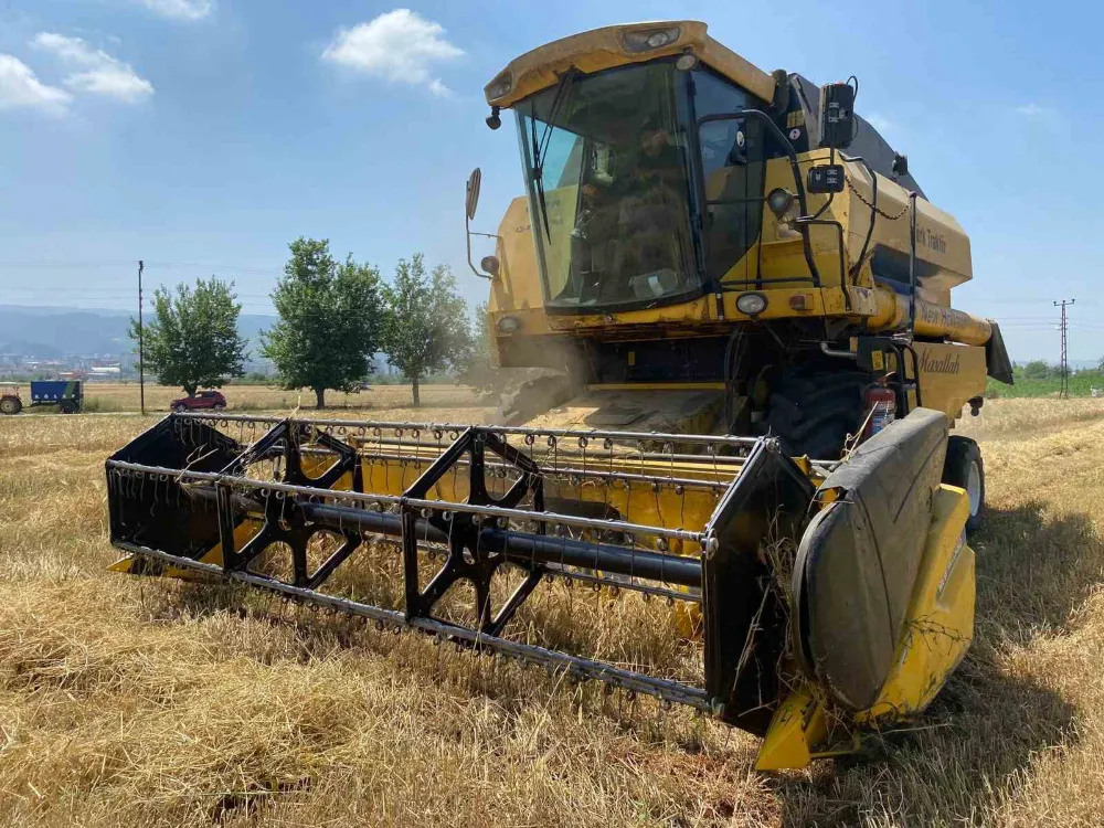 Yüz güldüren buğday hasadı