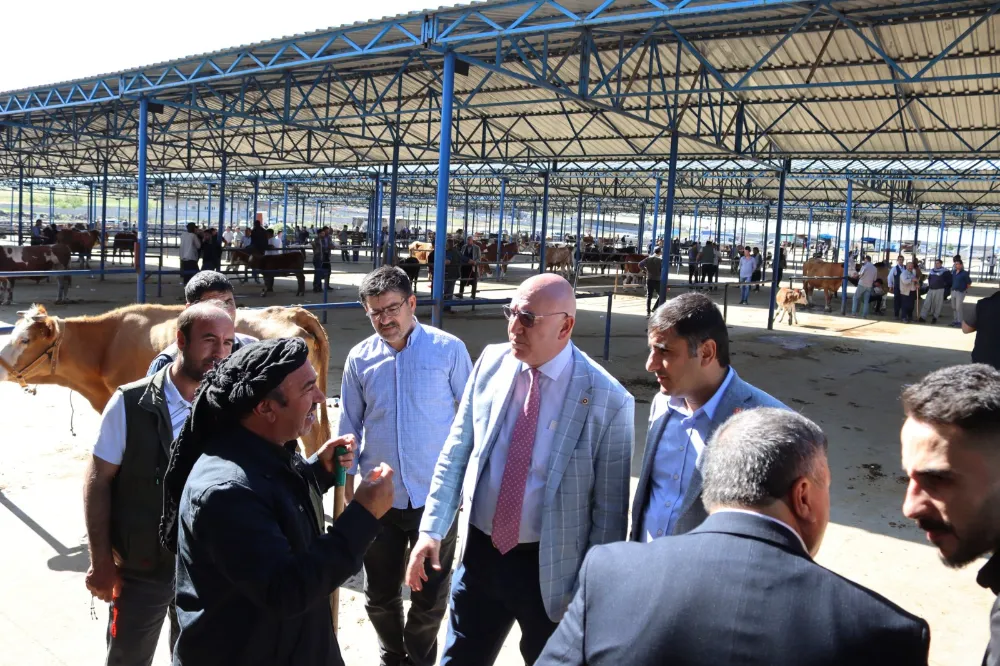 Tanal’dan vahim iddia: İlgili kurumlar derhal gerekli adımları atmalıdır