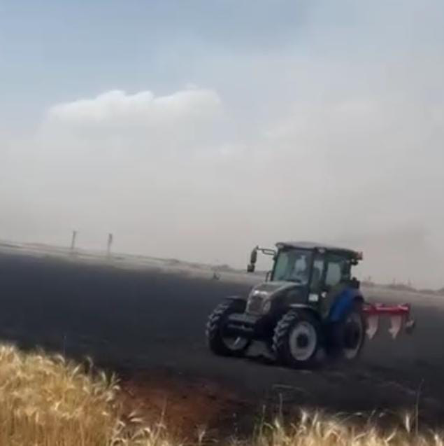 Buğday Ekili Tarla Küle Döndü