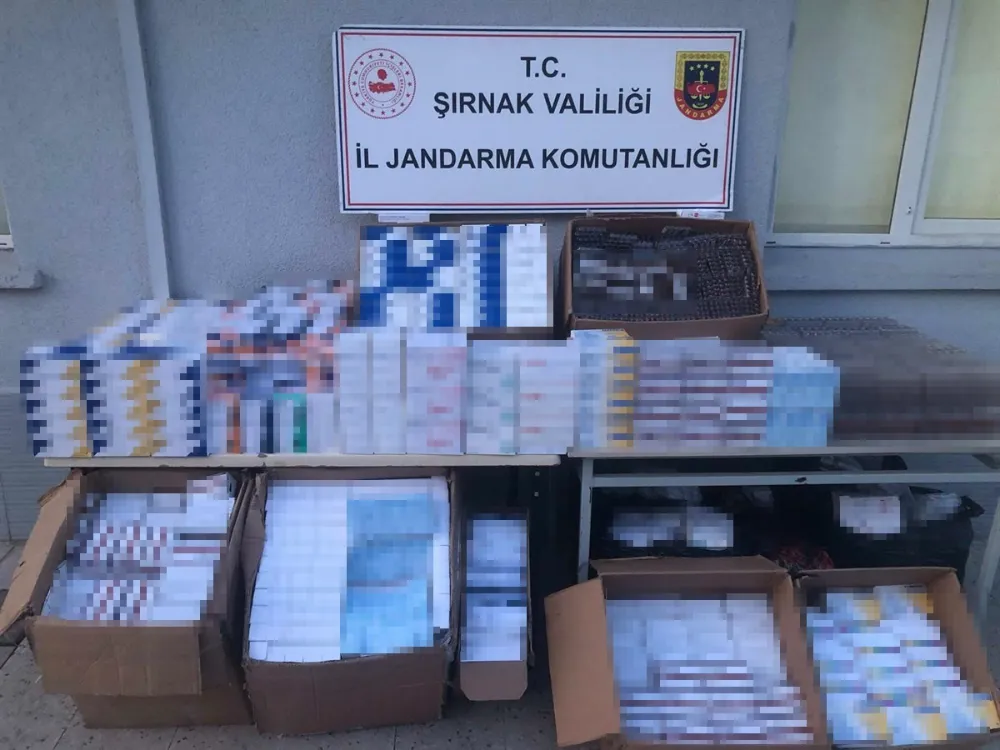 3 milyon liralık kaçak ilaç baskını