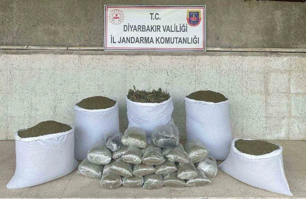173 kilo esrar ele geçirildi