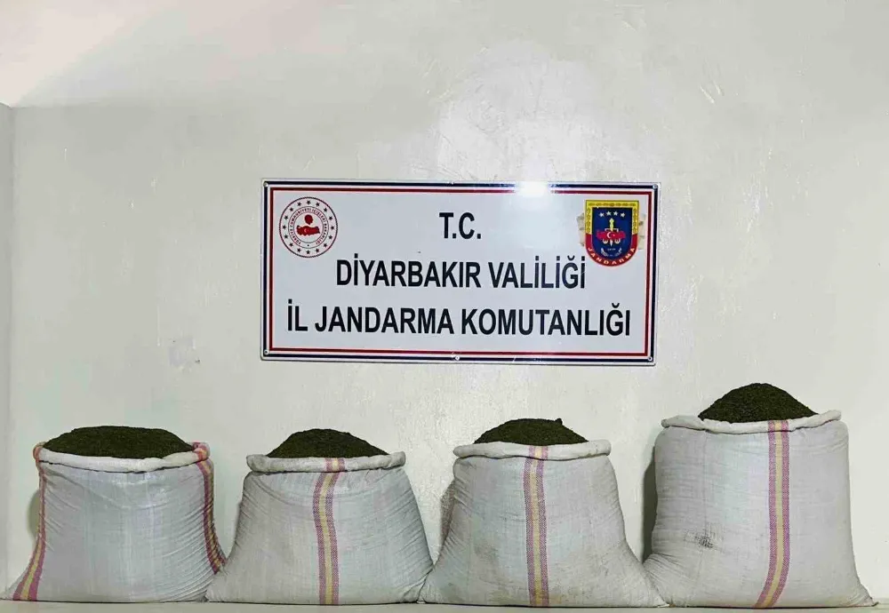 34 bin 500 kök kenevir ve 112 kilo esrar ele geçirildi