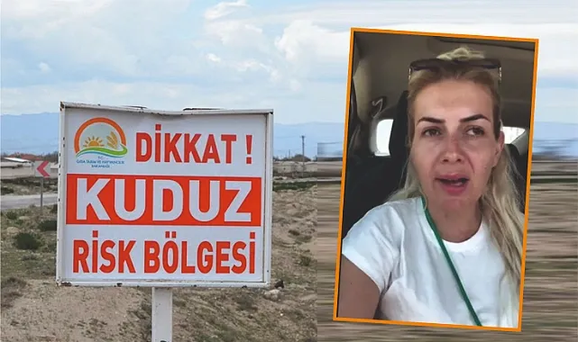 Akıl alır gibi değil