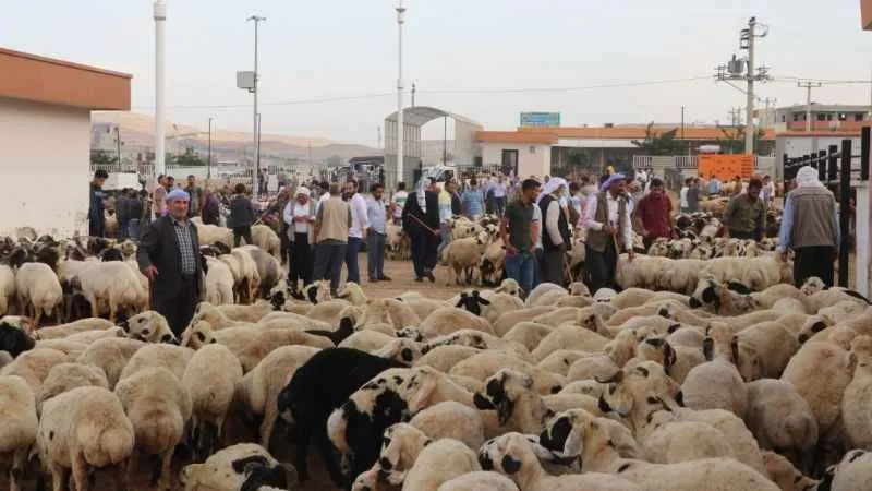 “Kurban Bayramı Tedbirleri”  konulu genelge  yayınlandı