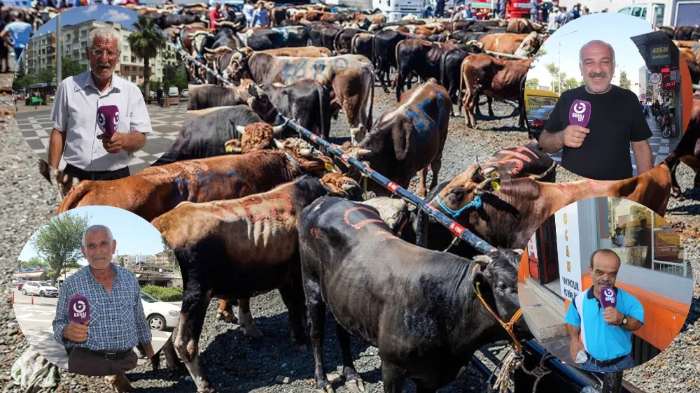 Urfalılar kurban kesecek mi?