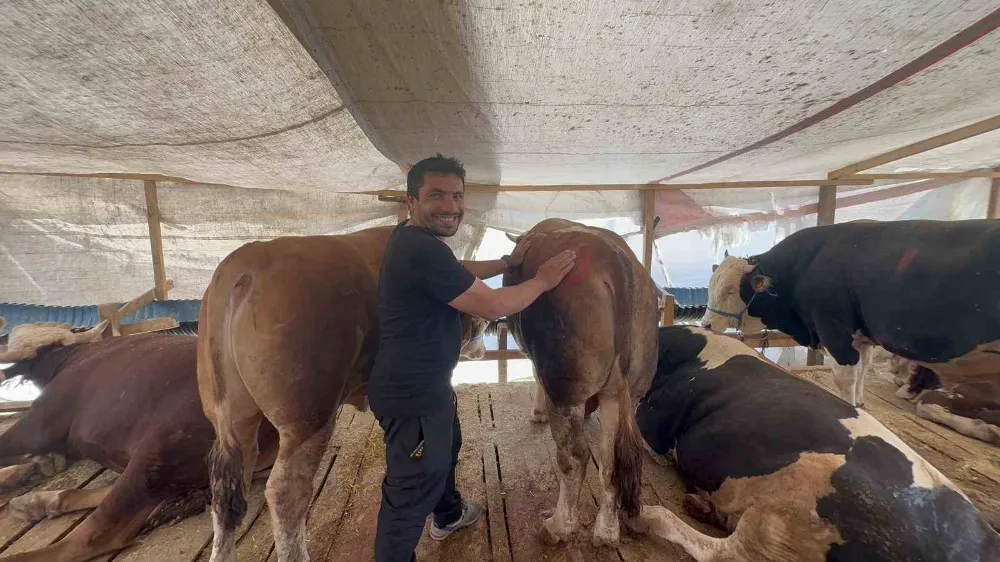 Öyle bir pazarlık yaptılar ki rüyasına bile girdi