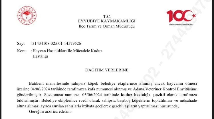 Hedef alınan Gazeteci paylaştı: Buyurun kuduz raporu