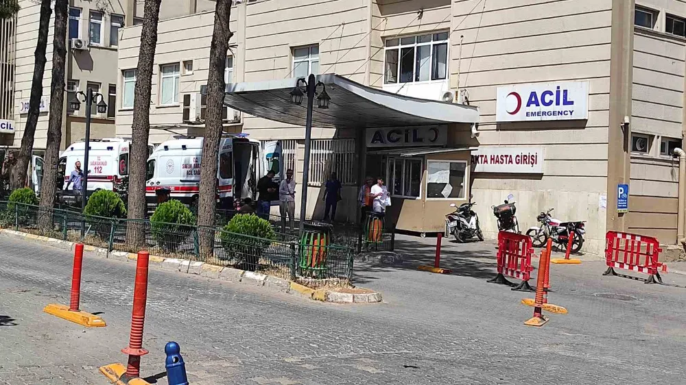 Acemi kasaplar hastanelik oldu