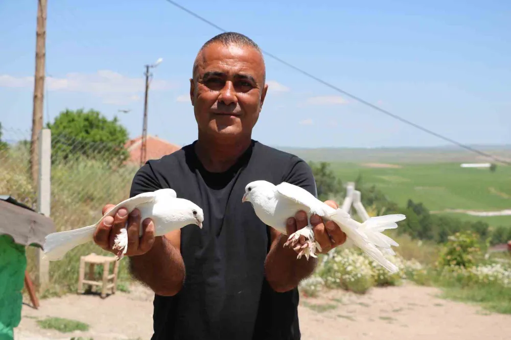 Bu kuşlara değer biçilemiyor