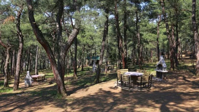 Urfa’da ormanlara giriş ve çıkışlar yasaklandı