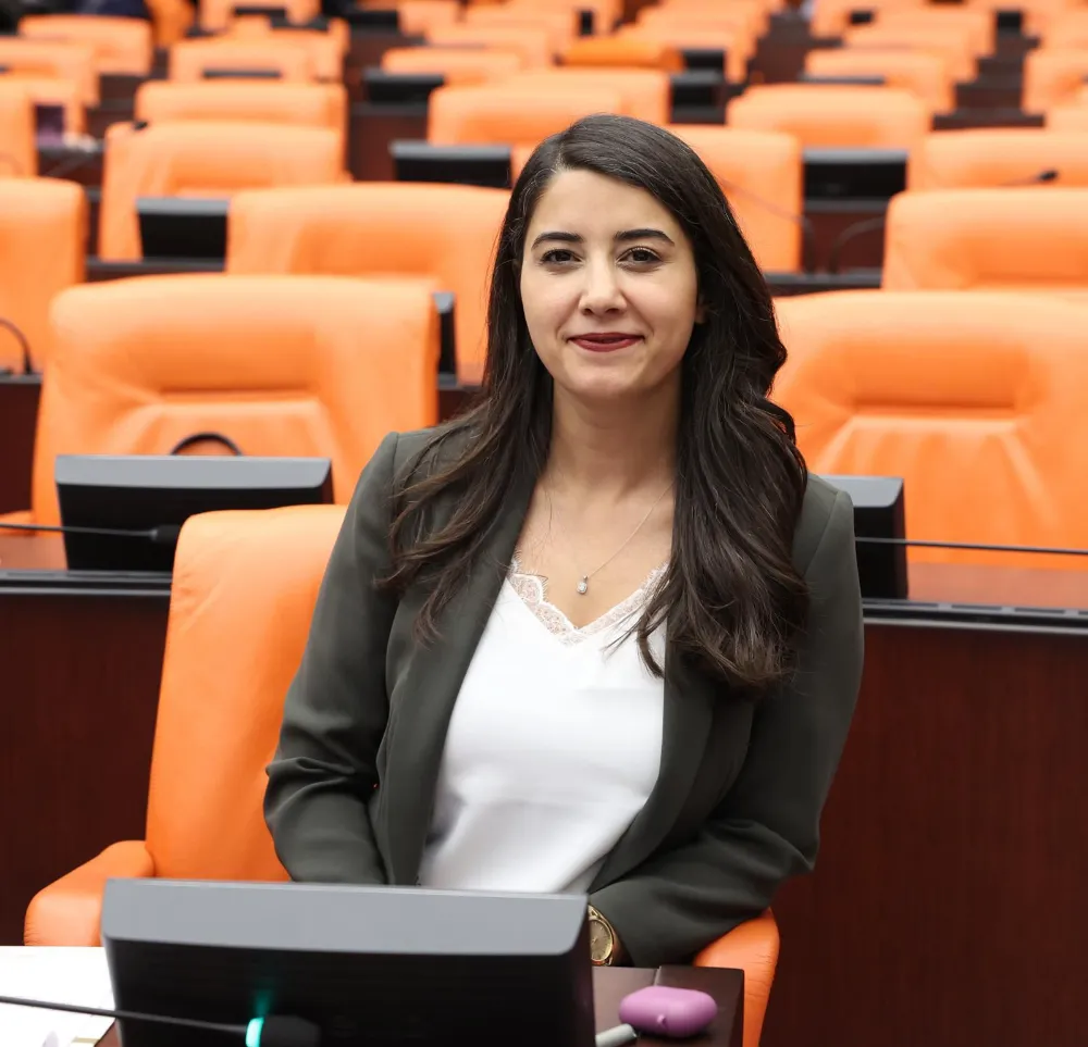 Urfa'nın elektrik sorunu yine TBMM'ye taşındı