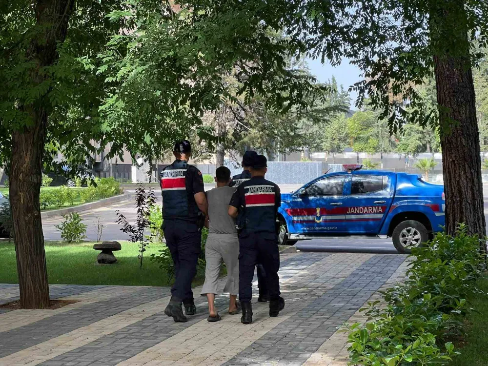 DEAŞ silahlı terör örgütü üyesi yakalandı