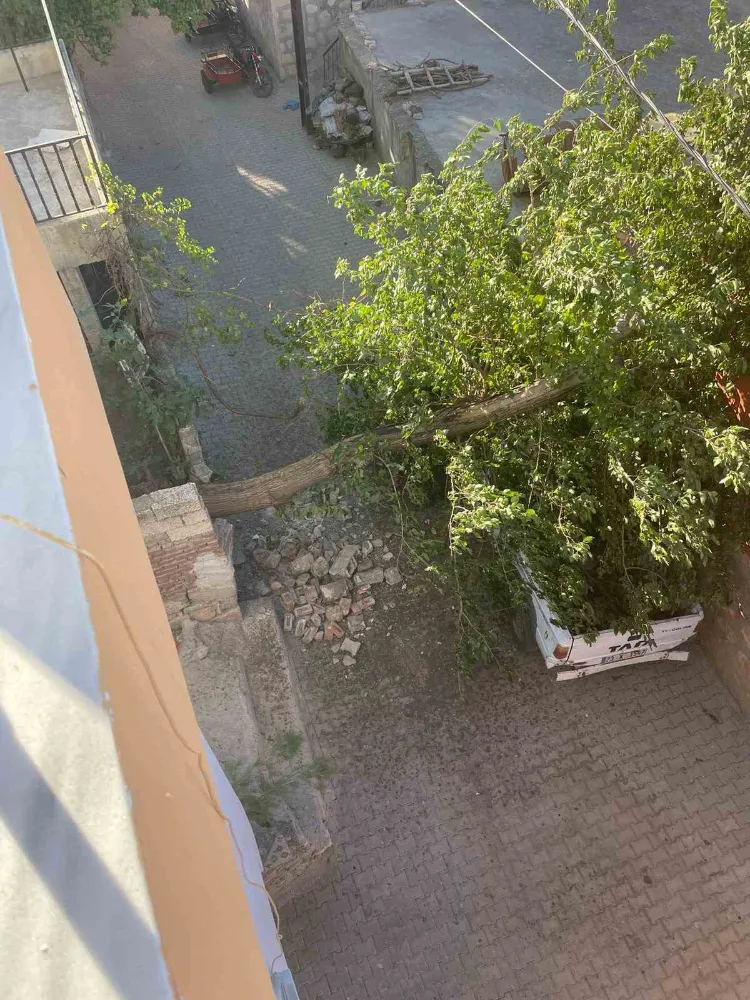 Fırtınada ağaç kamyonetin üstüne devrildi